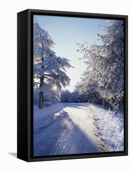 California, Cleveland Nf, Laguna Mts, Winter Morning Along a Highway-Christopher Talbot Frank-Framed Stretched Canvas