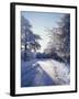 California, Cleveland Nf, Laguna Mts, Winter Morning Along a Highway-Christopher Talbot Frank-Framed Premium Photographic Print