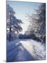 California, Cleveland Nf, Laguna Mts, Winter Morning Along a Highway-Christopher Talbot Frank-Mounted Premium Photographic Print