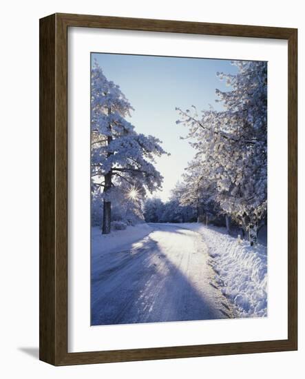 California, Cleveland Nf, Laguna Mts, Winter Morning Along a Highway-Christopher Talbot Frank-Framed Photographic Print