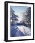 California, Cleveland Nf, Laguna Mts, Winter Morning Along a Highway-Christopher Talbot Frank-Framed Photographic Print