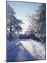 California, Cleveland Nf, Laguna Mts, Winter Morning Along a Highway-Christopher Talbot Frank-Mounted Photographic Print