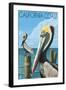 California Coast - Pelicans-Lantern Press-Framed Art Print