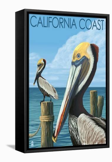 California Coast - Pelicans-Lantern Press-Framed Stretched Canvas