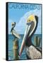 California Coast - Pelicans-Lantern Press-Framed Stretched Canvas