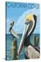 California Coast - Pelicans-Lantern Press-Stretched Canvas