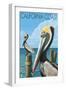 California Coast - Pelicans-Lantern Press-Framed Art Print