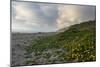 California Coast-wollertz-Mounted Photographic Print