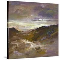 California Coast-Sheila Finch-Stretched Canvas