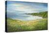 California Coastline-Sheila Finch-Stretched Canvas