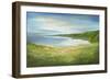 California Coastline-Sheila Finch-Framed Art Print