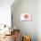 California - Compass - Coral - Coastal Icon-Lantern Press-Stretched Canvas displayed on a wall