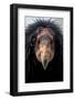 California Condor (Gymnogyps Californianus), Iucn Critically Endangered, Captive-Claudio Contreras-Framed Photographic Print