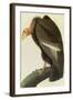 California Condor-John James Audubon-Framed Art Print