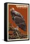 California Condor-Lantern Press-Framed Stretched Canvas