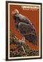 California Condor-Lantern Press-Framed Art Print