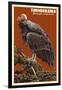 California Condor-Lantern Press-Framed Art Print