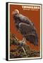 California Condor-Lantern Press-Framed Stretched Canvas