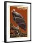 California Condor-Lantern Press-Framed Art Print