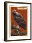 California Condor-Lantern Press-Framed Art Print