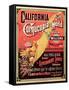 California, Cornucopia of the World, Published by Rand Mcnally and Co., C.1870-null-Framed Stretched Canvas