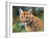 California Cougar-David Stribbling-Framed Art Print