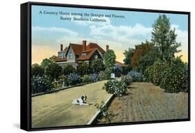 California - Country Home Among Oranges and Flowers Scene-Lantern Press-Framed Stretched Canvas