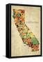 California County Map-David Bowman-Framed Stretched Canvas