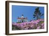 California, Crescent City, Battery Point Lighthouse, Ice Plants in full bloom-Jamie & Judy Wild-Framed Photographic Print