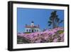 California, Crescent City, Battery Point Lighthouse, Ice Plants in full bloom-Jamie & Judy Wild-Framed Photographic Print