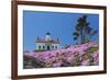 California, Crescent City, Battery Point Lighthouse, Ice Plants in full bloom-Jamie & Judy Wild-Framed Photographic Print