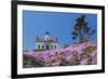 California, Crescent City, Battery Point Lighthouse, Ice Plants in full bloom-Jamie & Judy Wild-Framed Photographic Print