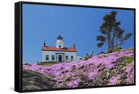 California, Crescent City, Battery Point Lighthouse, Ice Plants in full bloom-Jamie & Judy Wild-Framed Stretched Canvas