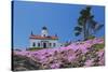 California, Crescent City, Battery Point Lighthouse, Ice Plants in full bloom-Jamie & Judy Wild-Stretched Canvas