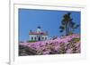 California, Crescent City, Battery Point Lighthouse, Ice Plants in full bloom-Jamie & Judy Wild-Framed Premium Photographic Print