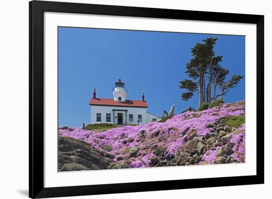 California, Crescent City, Battery Point Lighthouse, Ice Plants in full bloom-Jamie & Judy Wild-Framed Premium Photographic Print