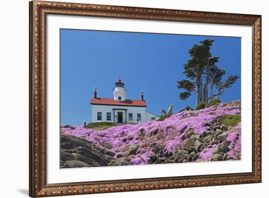 California, Crescent City, Battery Point Lighthouse, Ice Plants in full bloom-Jamie & Judy Wild-Framed Premium Photographic Print