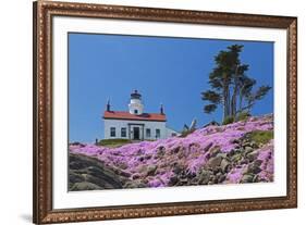 California, Crescent City, Battery Point Lighthouse, Ice Plants in full bloom-Jamie & Judy Wild-Framed Premium Photographic Print