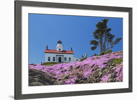 California, Crescent City, Battery Point Lighthouse, Ice Plants in full bloom-Jamie & Judy Wild-Framed Premium Photographic Print