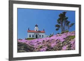 California, Crescent City, Battery Point Lighthouse, Ice Plants in full bloom-Jamie & Judy Wild-Framed Premium Photographic Print