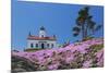 California, Crescent City, Battery Point Lighthouse, Ice Plants in full bloom-Jamie & Judy Wild-Mounted Premium Photographic Print