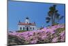 California, Crescent City, Battery Point Lighthouse, Ice Plants in full bloom-Jamie & Judy Wild-Mounted Photographic Print