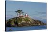 California, Crescent City, Battery Point Lighthouse-Jamie & Judy Wild-Stretched Canvas