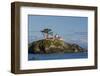 California, Crescent City, Battery Point Lighthouse-Jamie & Judy Wild-Framed Photographic Print