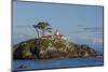 California, Crescent City, Battery Point Lighthouse-Jamie & Judy Wild-Mounted Photographic Print