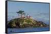 California, Crescent City, Battery Point Lighthouse-Jamie & Judy Wild-Framed Stretched Canvas