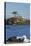 California, Crescent City, Battery Point Lighthouse-Jamie & Judy Wild-Stretched Canvas