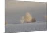 California. Death Valley National Park. Early Morning Light on Tumbleweeds in Eureka Sand Dunes-Judith Zimmerman-Mounted Photographic Print