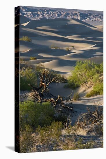 California. Death Valley National Park. Sunset Shadow on Sea of Sand Dunes, Mesquite Dunes-Judith Zimmerman-Stretched Canvas