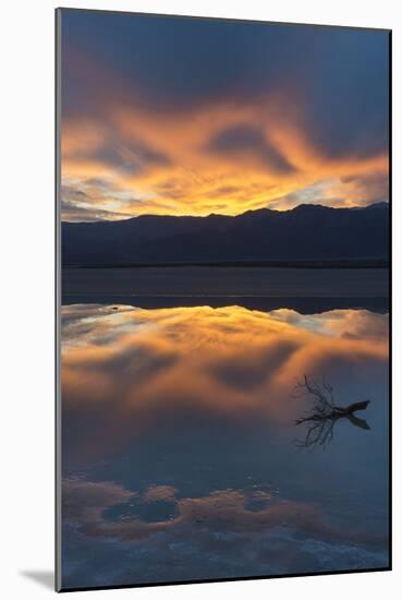 California. Death Valley National Park. Sunset with Reflections, Cotton Ball Basin-Judith Zimmerman-Mounted Photographic Print